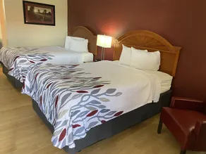Red Roof Inn Wheelersburg - Chambre
