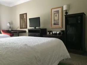 Hampton Inn Vidalia - Room