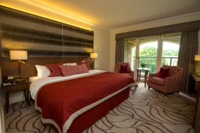 The Celtic Manor Resort - Room