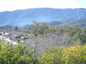 Oakridge Inn - Ausblick vom Zimmer