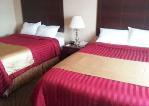 Econo Lodge City Centre - Chambre
