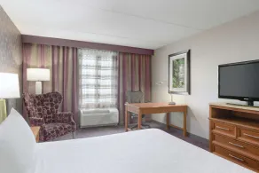 Hilton Garden Inn-Springfield, MA - Chambre