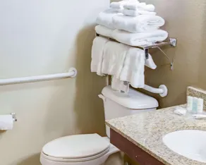Comfort Suites Omaha Northwest - Chambre