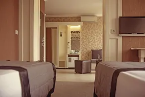 Park Hotel Plovdiv - Room