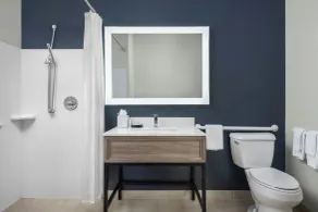 Fairfield Inn and Suites by Marriott Dallas Mansfield - Salle de bain