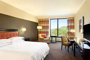 Sheraton Tucumán Hotel - Chambre