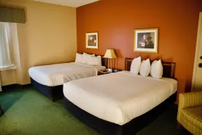 Hotel Mead Resorts & Conventions Center - Habitación