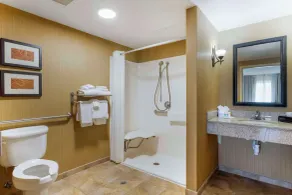 Comfort Suites Kodak Sevierville - Salle de bain