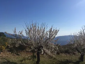 La Fuente Retreat - Utsikt från rummet