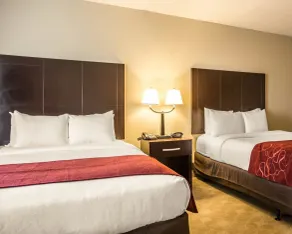 Comfort Suites Huntersville near Lake Norman - Chambre