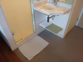 ibis budget Sertaozinho - Baño