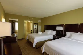 Embassy Suites by Hilton Minneapolis North - Chambre