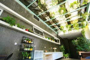 Colour Inn Shenzhen Shekou Branch - Restauracja