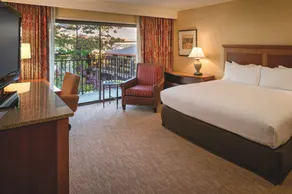 DoubleTree by Hilton Seattle Airport - Chambre