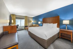 Comfort Inn & Suites Chattanooga West - Lookout Mountain - Chambre