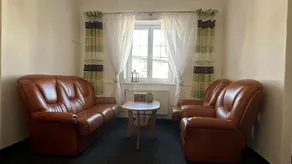Pezion and apartman near Karlovy Vary - Area soggiorno