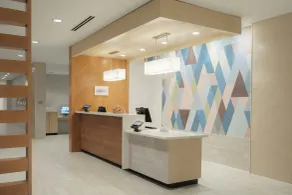 SpringHill Suites by Marriott Tampa Downtown - Réception