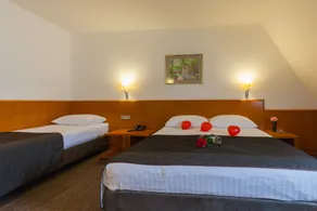 Grabovac Hotel - Rom
