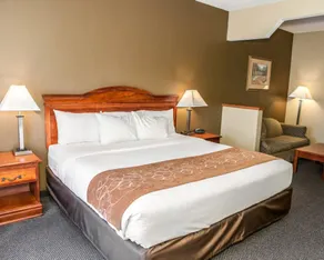 Comfort Suites Auburn near I-69 - Chambre