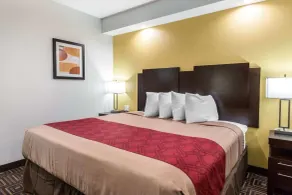 Scottish Inns & Suites Spring - Houston North - Chambre