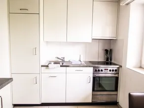 City Stay Apartments Ringstrasse - Cucina privata