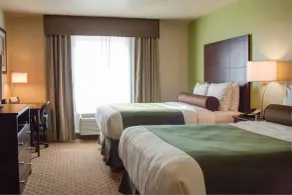 Cobblestone Inn & Suites - Waverly - Rom