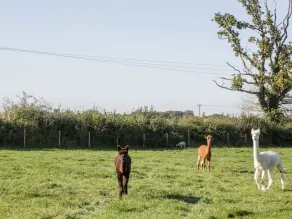 The Barn - Fitness facility