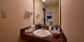 Hotel Metro (Adult Only) - Room