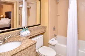 Holiday Inn Express & Suites Buffalo Downtown by IHG - Salle de bain