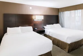 Rodd Royalty - Chambre