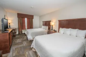 Hampton Inn & Suites Selma-San Antonio-Randolph AFB Texas - Chambre