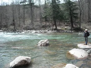 Black Bear Lodge - Pool