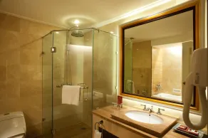 Kartika Chandra - Bathroom
