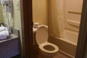 Quality Inn Columbus-East - Salle de bain