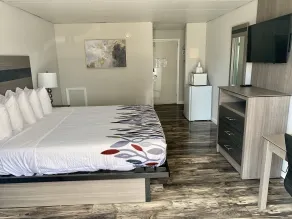 Simple Life Motel - Room