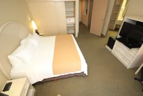 Holiday Inn Leon - Poliforum by IHG - Chambre