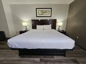Quality Inn & Suites Lexington South - Chambre