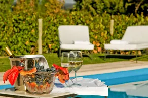 Finca Verde Oliva Wine & Olive Estate - Pool