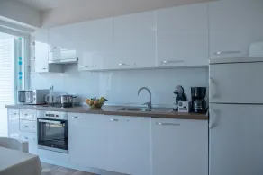 Apartment Bor - Private kitchen
