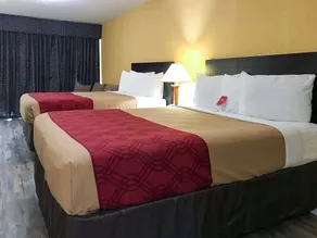 Econo Lodge Inn & Suites Old Saybrook - Westbrook - Chambre