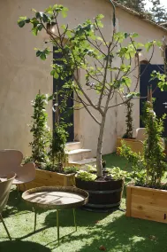 Tel-Aviv LALA Boutique Hotel - Vue de la chambre
