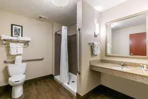 Comfort Suites Hopkinsville near Fort Campbell - Salle de bain
