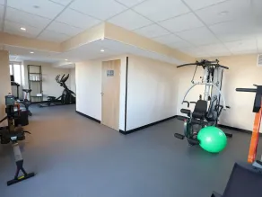 Ibis Bourgoin Jallieu Medipole - Fitnessfaciliteter