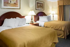 Quality Inn & Suites Sioux City Southeast - Chambre