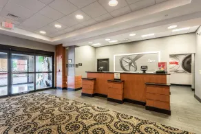 Hampton Inn & Suites Orlando-South Lake Buena Vista - Réception