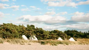 Surflogiet Gotland - Room