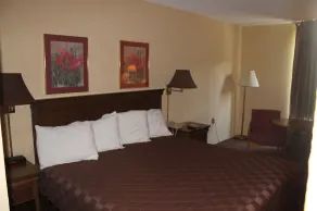 Americourt Hotel - Mountain City - Rum