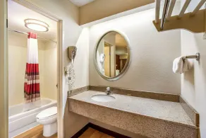 Red Roof Inn Detroit - Plymouth/Canton - Salle de bain