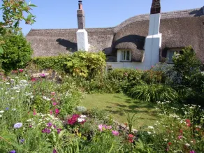 Appletree Cottage - Interior