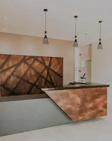 Petri Plaza Hotel - Réception